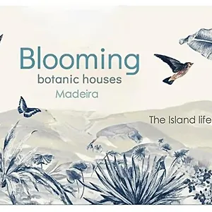 Ferienhaus Blooming Botanic, Estreito Da Calheta